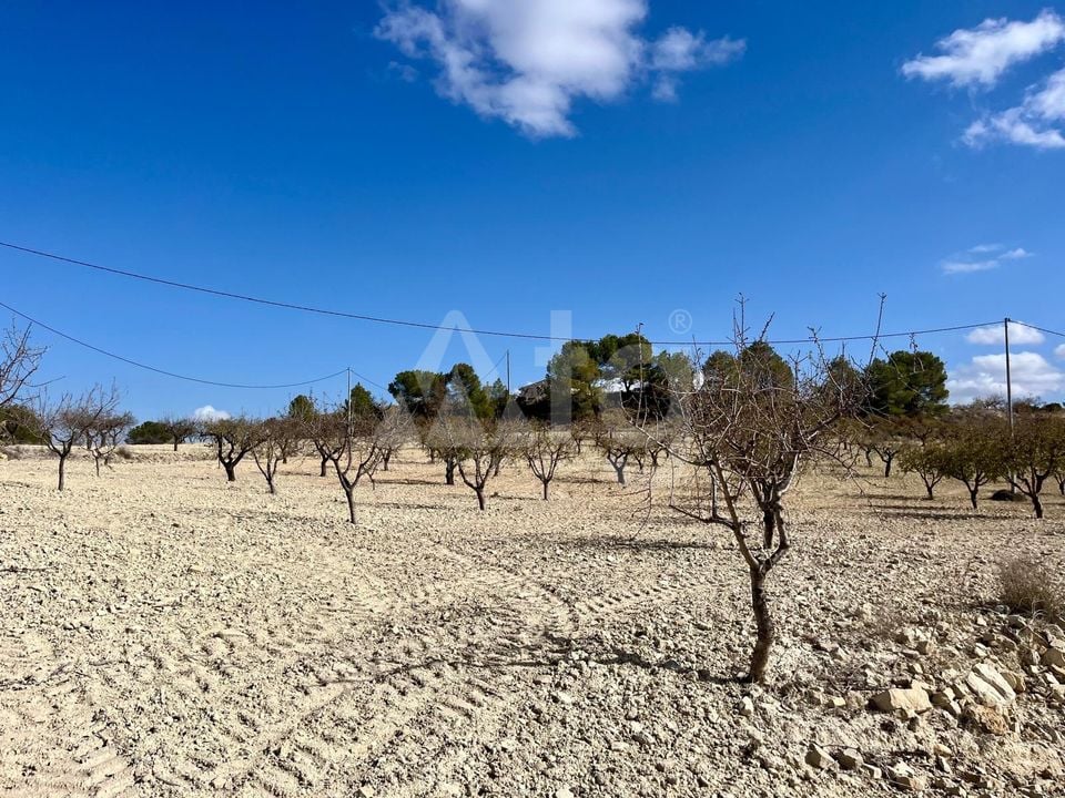 Parcela de  en Bullas- GS149464 - Foto - 5