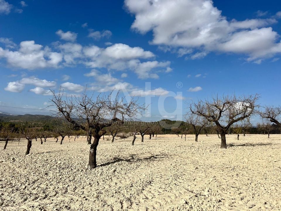 Parcela de  en Bullas- GS149464 - Foto - 3