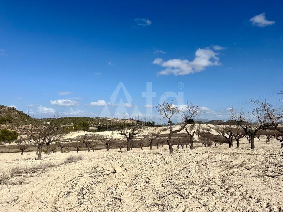 Parcela de  en Bullas- GS149464 - Foto - 6