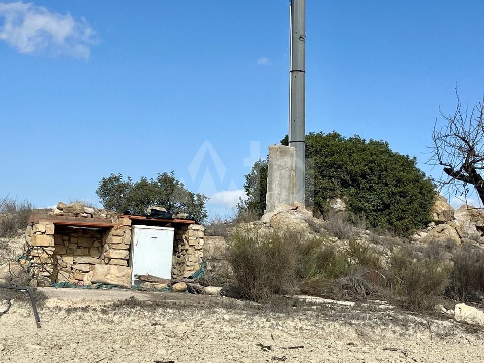 Parcela de  en Bullas- GS149464 - Foto - 10