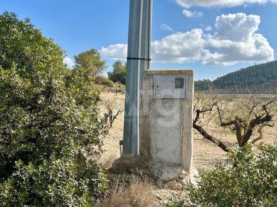 Parcela de  en Bullas- GS149464 - Foto - 9