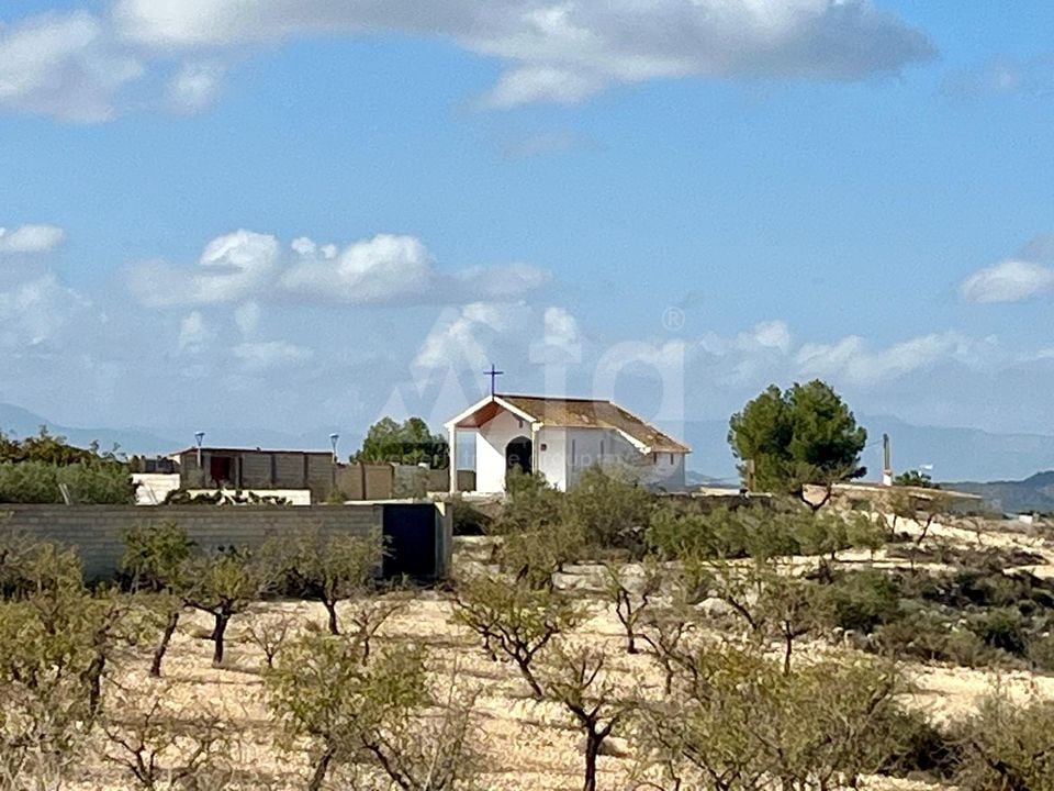 Parcela de  en Bullas- GS149464 - Foto - 11
