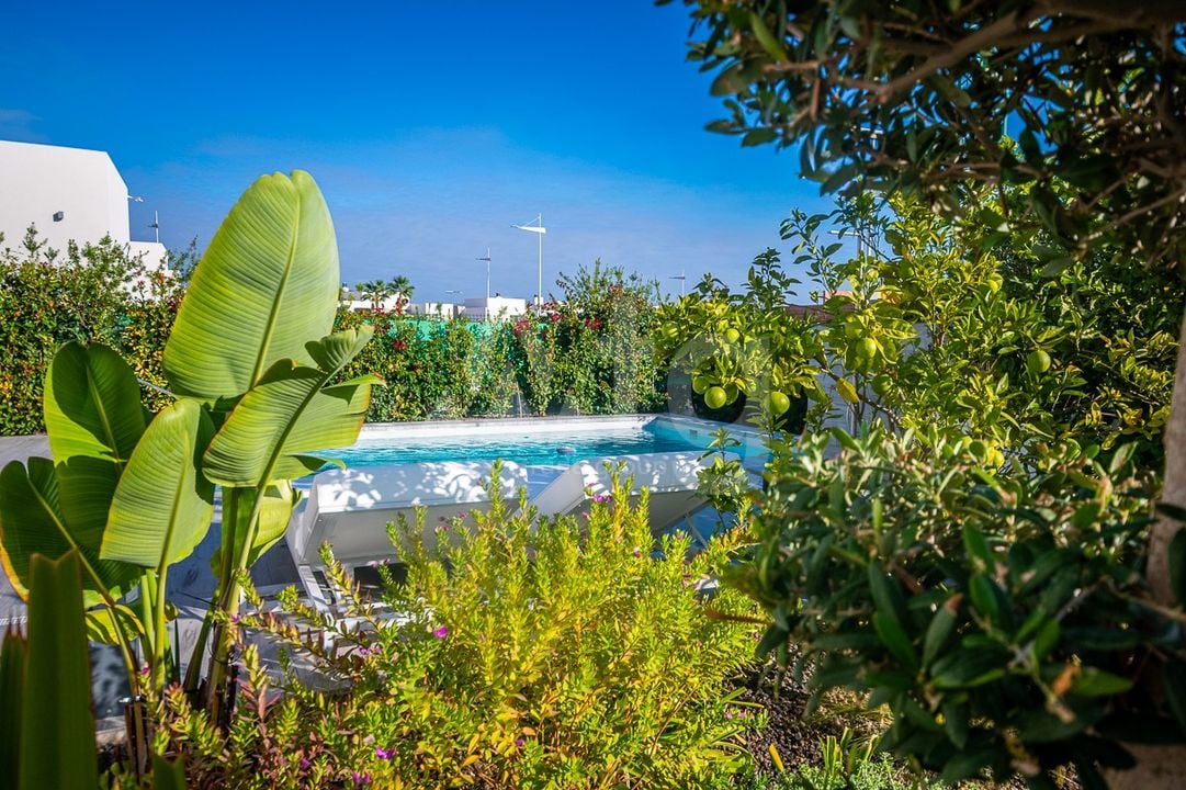 2 bedroom Villa in Algorfa - GS149468 - Photo - 37