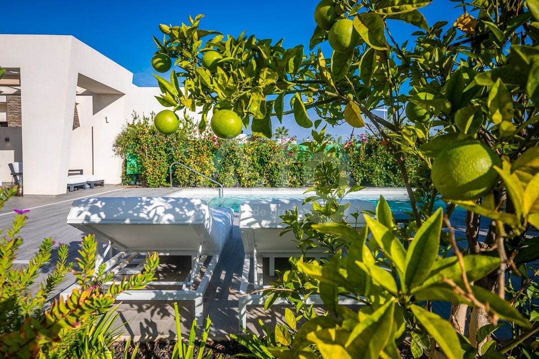 2 bedroom Villa in Algorfa - GS149468 - Photo - 38