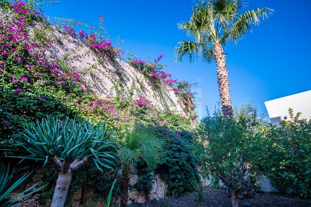 2 bedroom Villa in Algorfa - GS149468 - Photo - 41