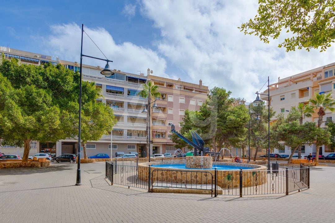 Appartement de 2 chambres à Torrevieja - CYM149531 - Photo - 32