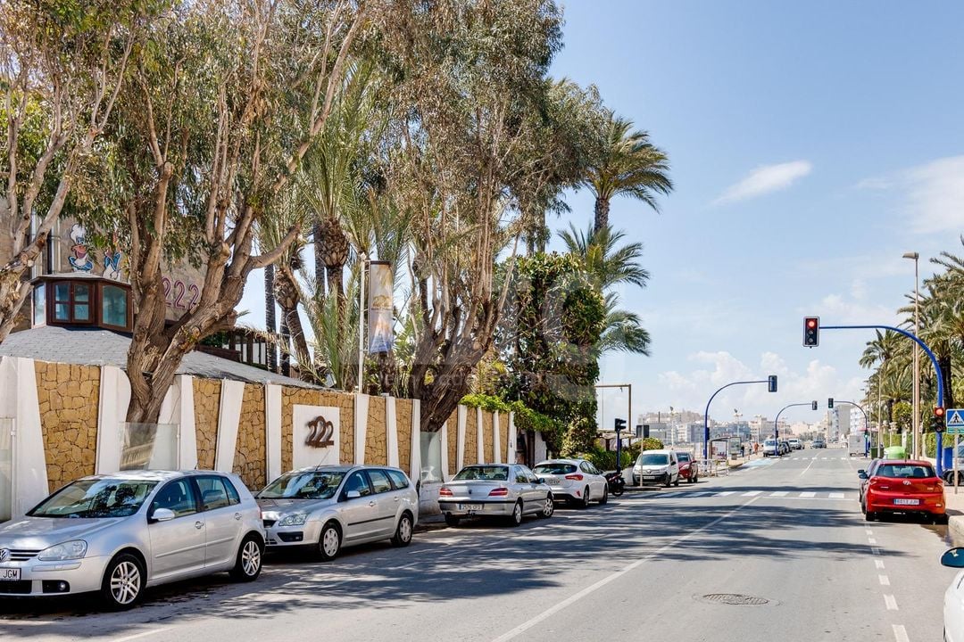 2 bedroom Apartment in Torrevieja - CYM149533 - Photo - 29