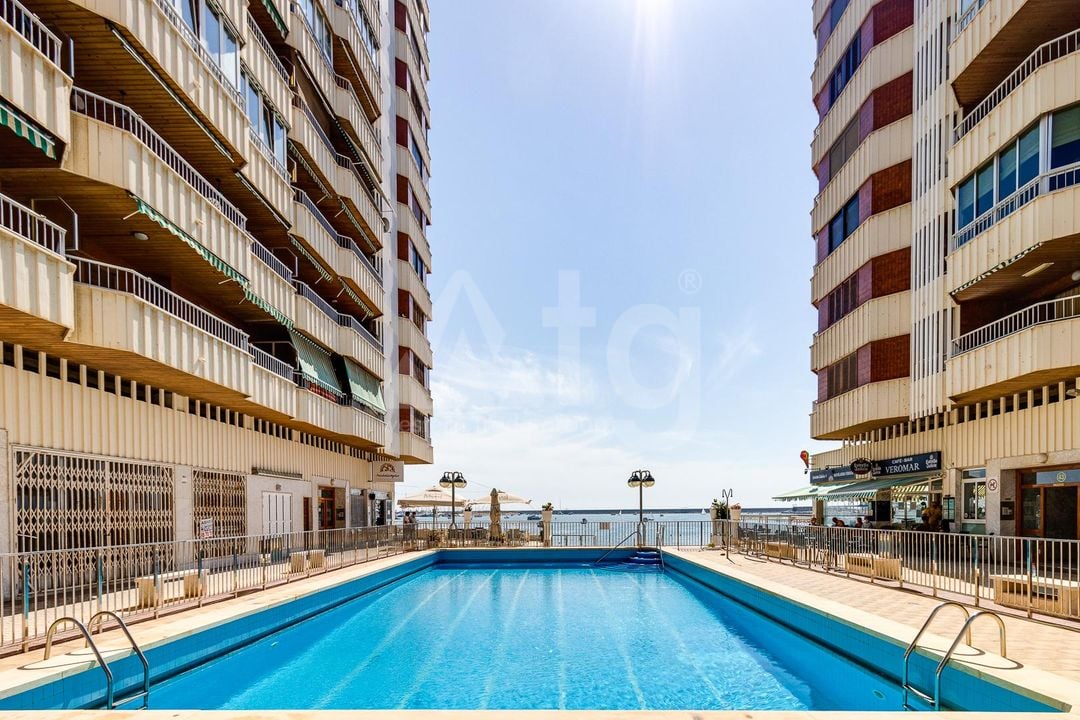 Appartement de 3 chambres à Torrevieja - TIM149728 - Photo - 21