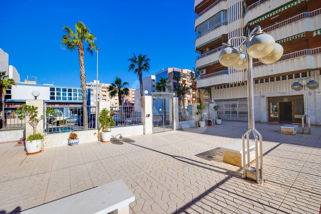 Appartement de 3 chambres à Torrevieja - TIM149728 - Photo - 24