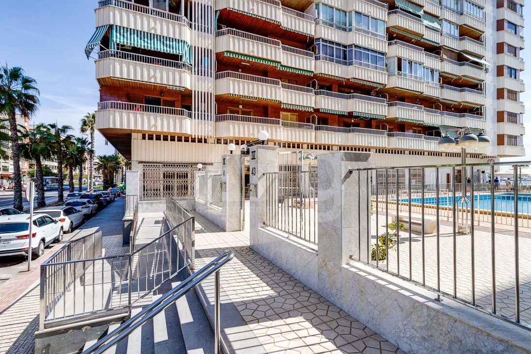Appartement de 3 chambres à Torrevieja - TIM149728 - Photo - 23