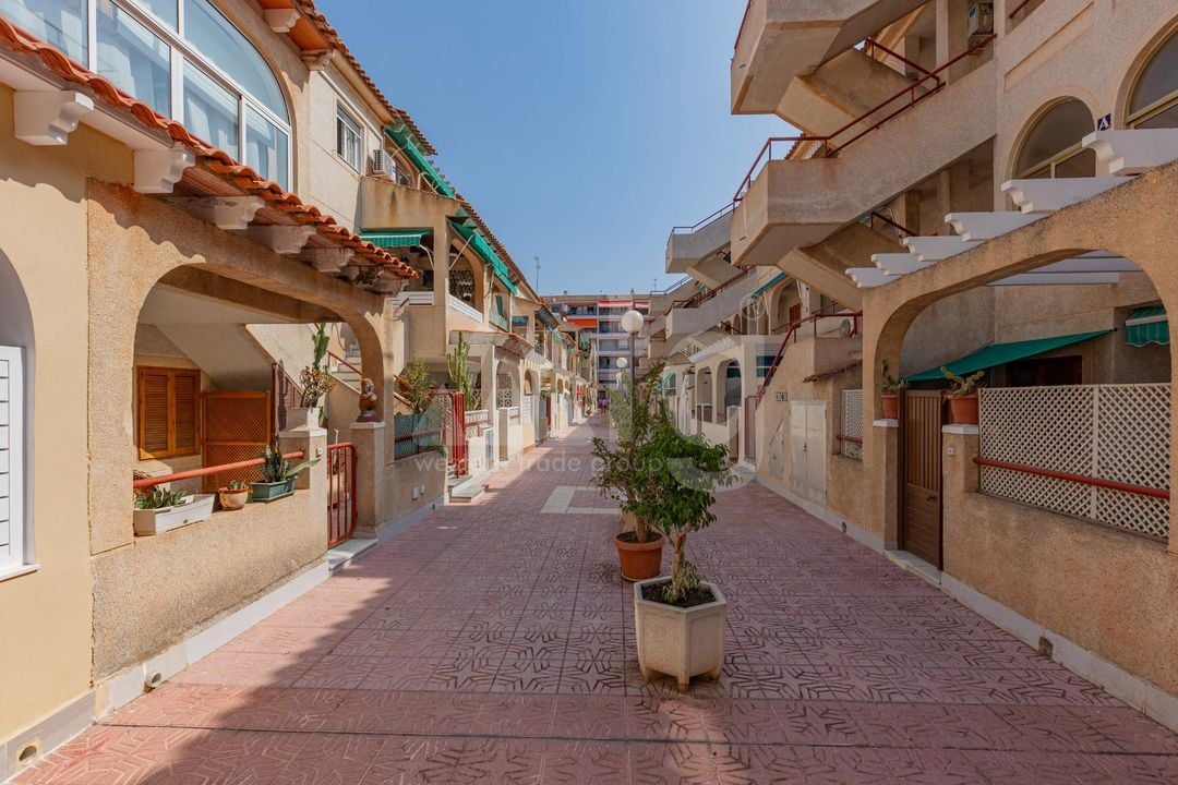 2 bedroom Apartment in Torrevieja - GVS149857 - Photo - 24
