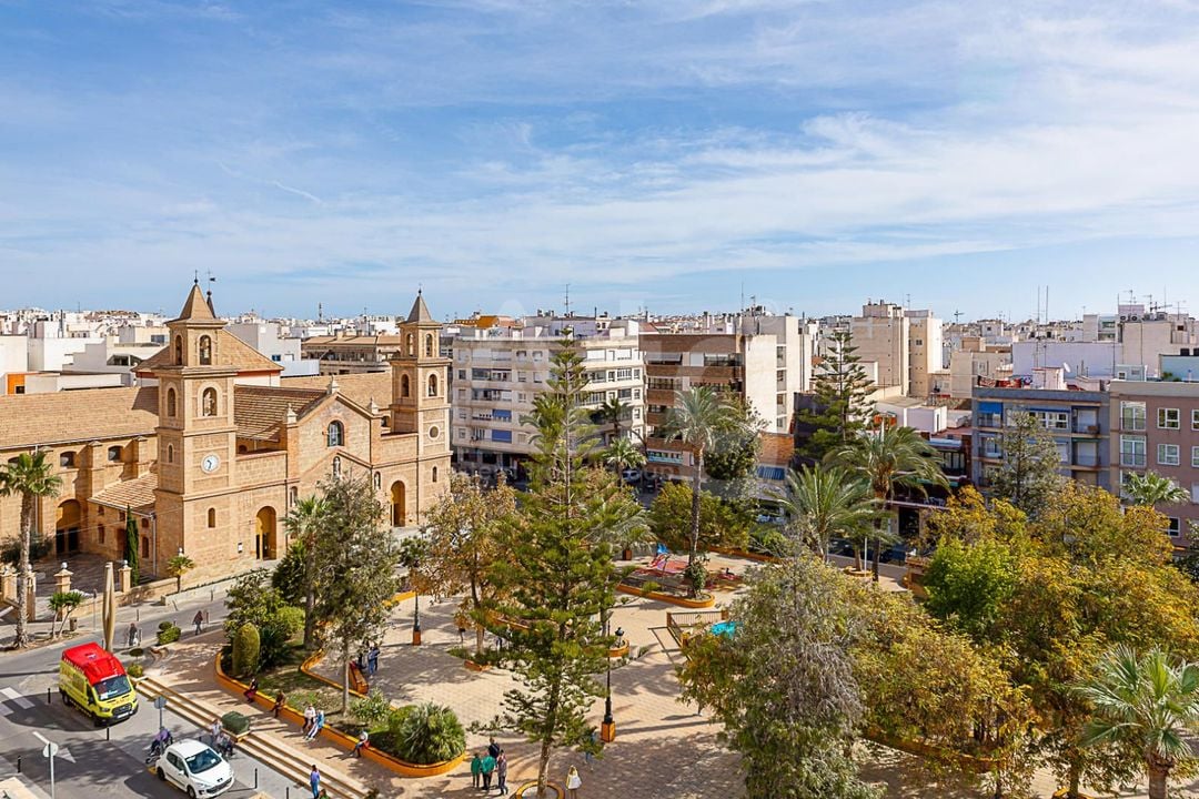 1 bedroom Apartment in Torrevieja - MRS150107 - Photo - 31