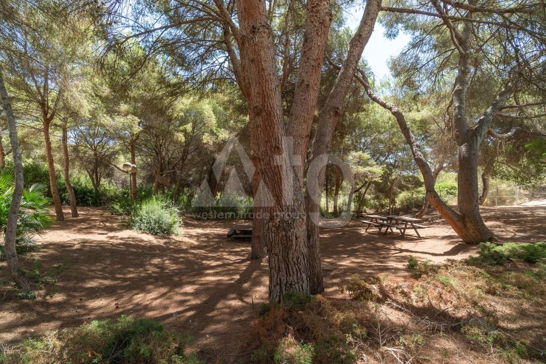 2 bedroom Apartment in Orihuela Costa - RPF150152 - Photo - 23
