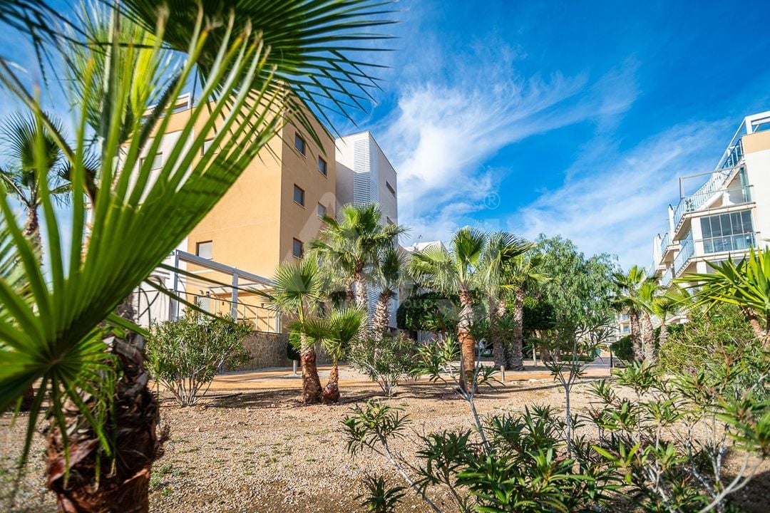 Appartement de 3 chambres à Orihuela Costa - GS150155 - Photo - 30