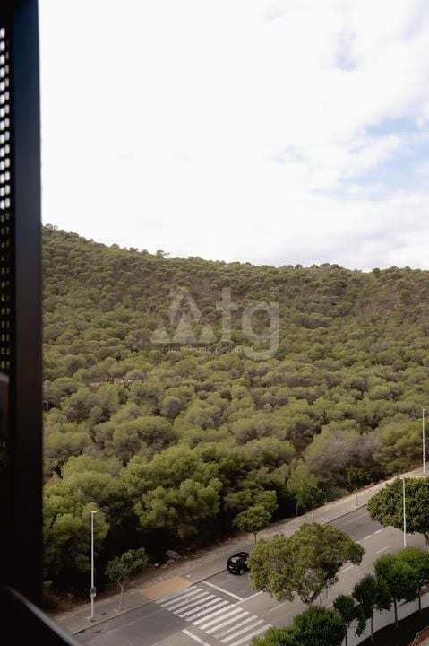 Appartement de 1 chambre à La Vila Joiosa - MIP150175 - Photo - 18