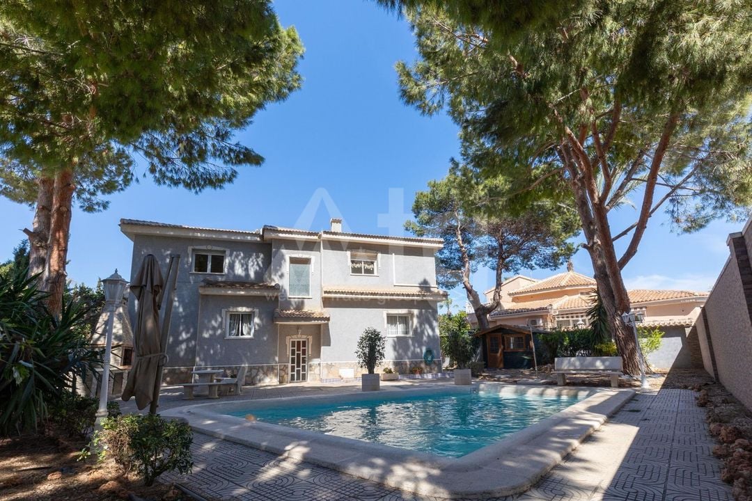 5 Schlafzimmer Villa in Rojales - SV150206 - Foto - 47