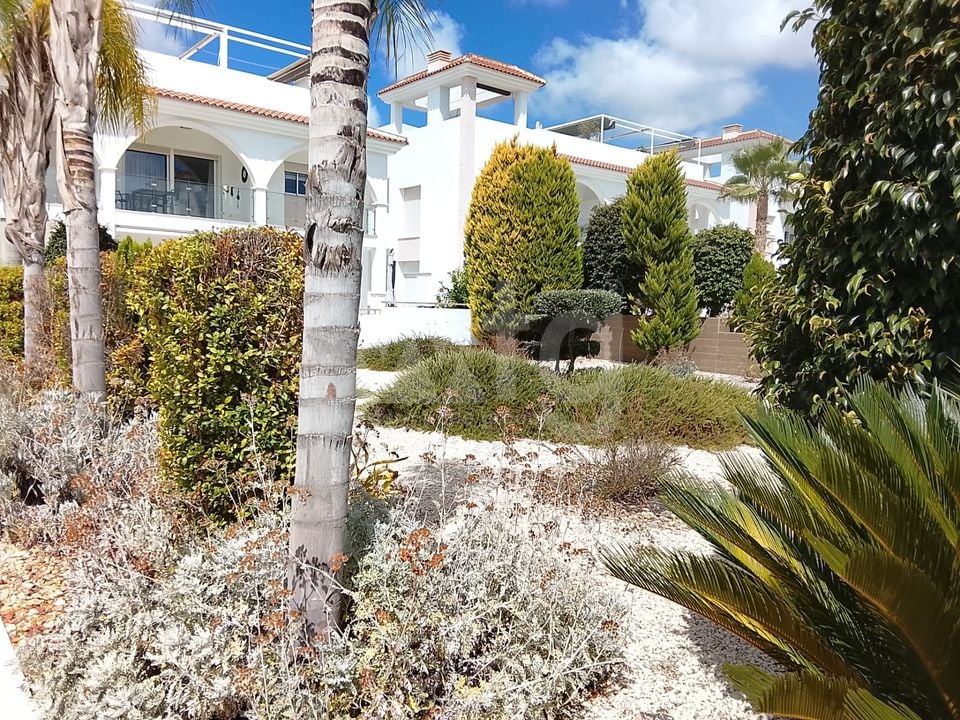 2 bedroom Penthouse in Rojales - PPS150250 - Photo - 32