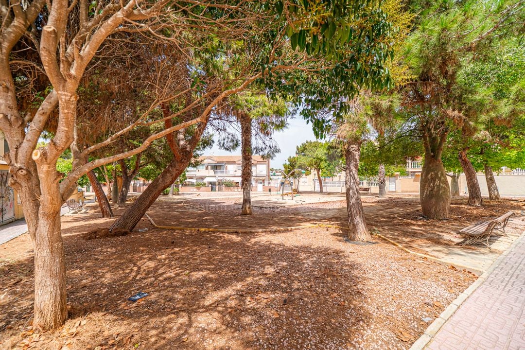 2 bedroom Penthouse in Torrevieja - CBB150293 - Photo - 38
