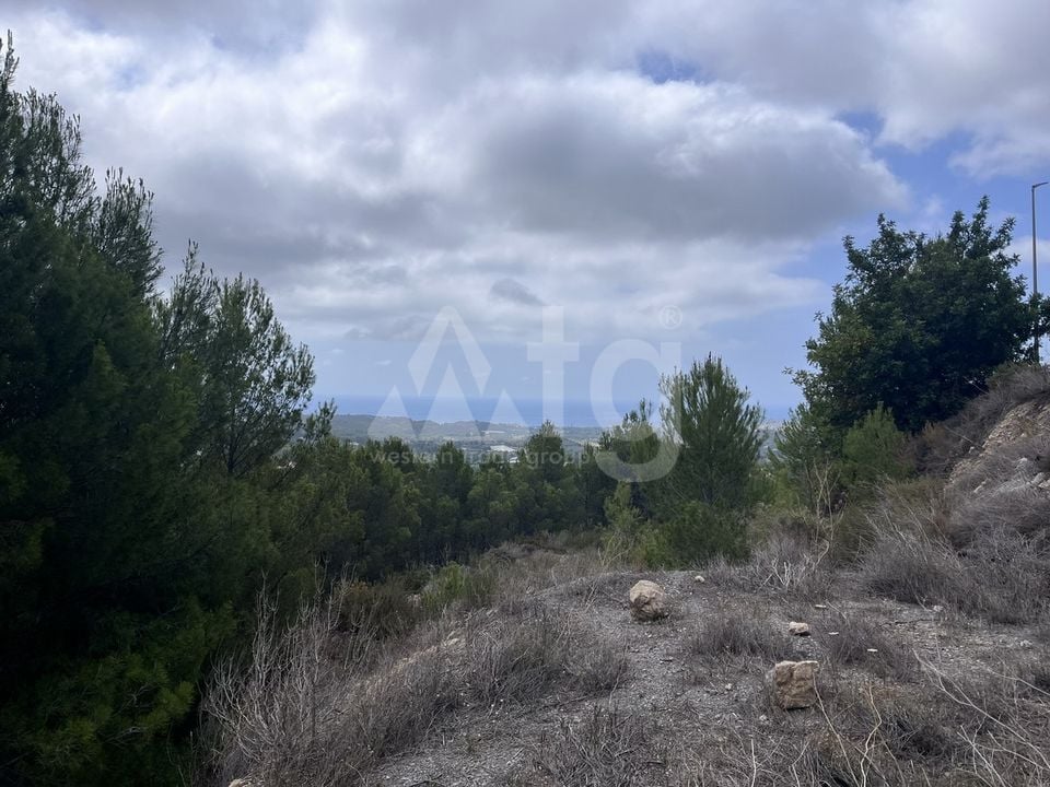 Plot in Callosa de Ensarriá- WI150301 - Photo - 12