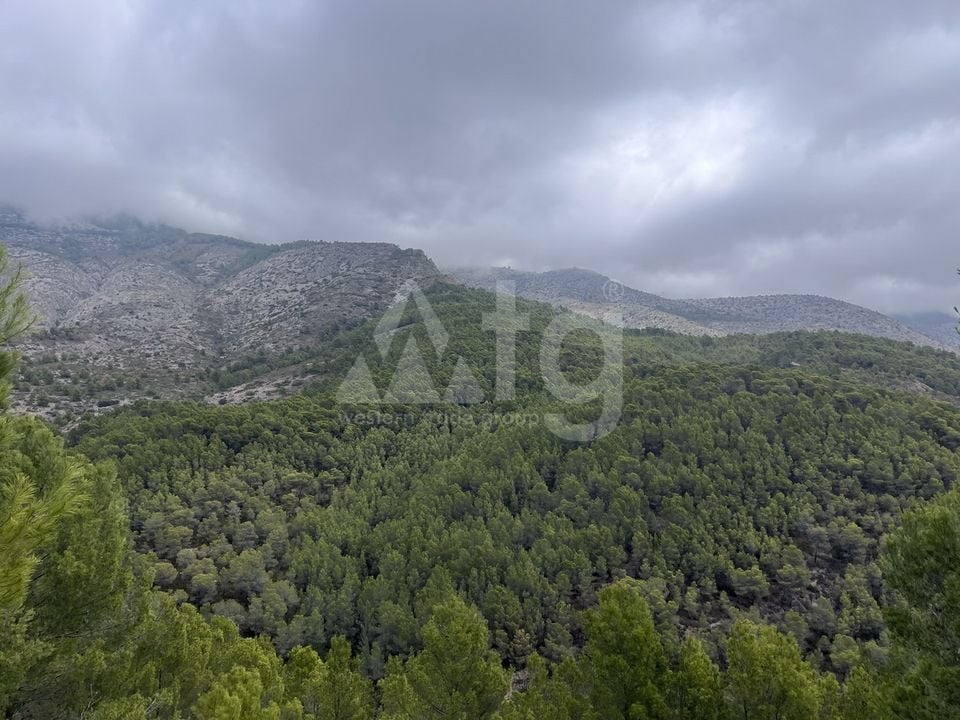  Plot in Callosa de Ensarriá- WI150301 - Photo - 6
