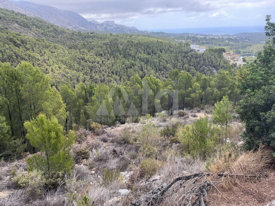  Plot in Callosa de Ensarriá- WI150301 - Photo - 18