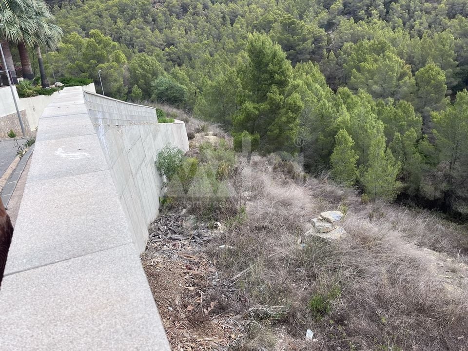  Plot in Callosa de Ensarriá- WI150301 - Photo - 17