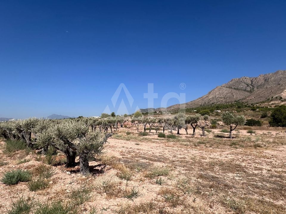 Terrain de  à Murcia- SIP150397 - Photo - 1