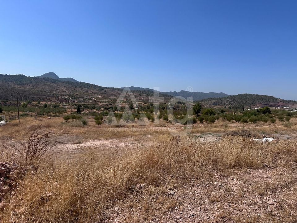 Terrain de  à Murcia- SIP150397 - Photo - 3