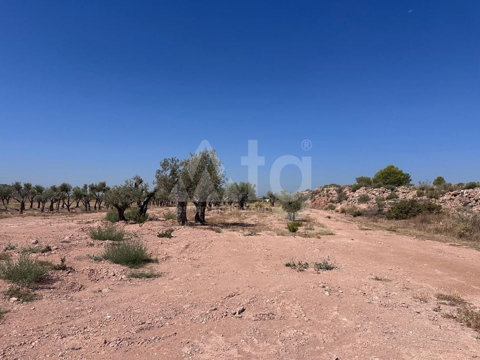 Terrain de  à Murcia- SIP150397 - Photo - 8