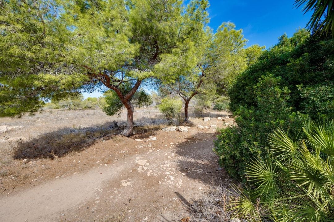 Bungalow de 2 chambres à Torrevieja - HRE150547 - Photo - 29