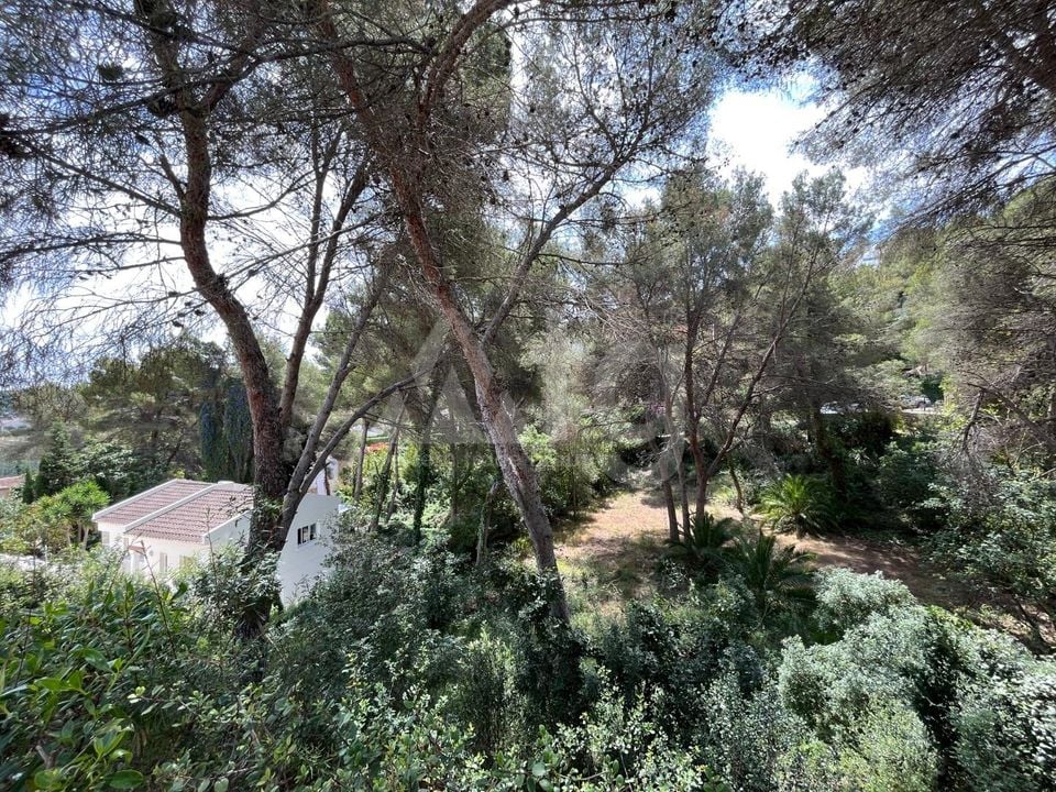 Parcela de  en Jávea- AG150667 - Foto - 10