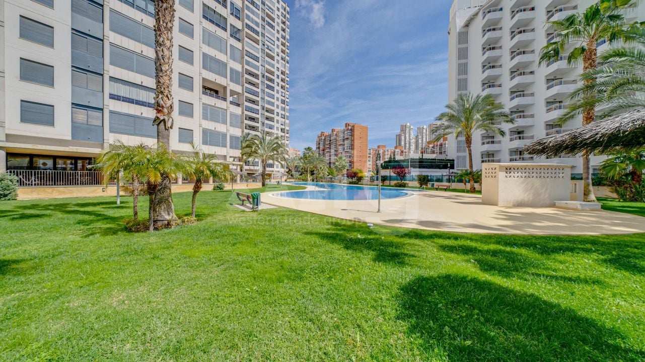1 bedroom Apartment in Benidorm - AG150817 - Photo - 37