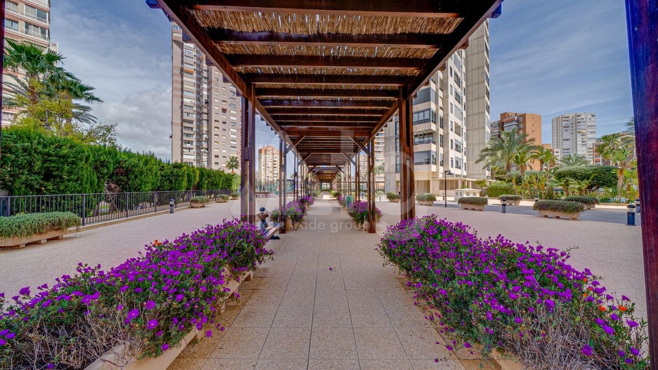 1 bedroom Apartment in Benidorm - AG150817 - Photo - 31