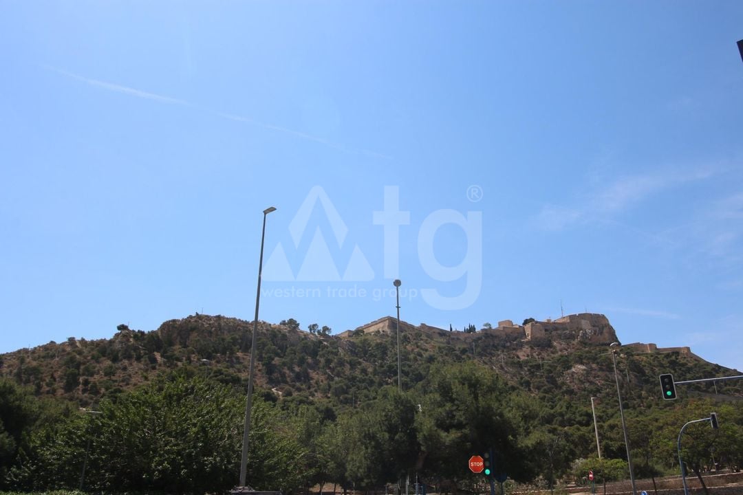 Apartman Alicante, 24 hálószoba - AG150850 - Fénykép - 15