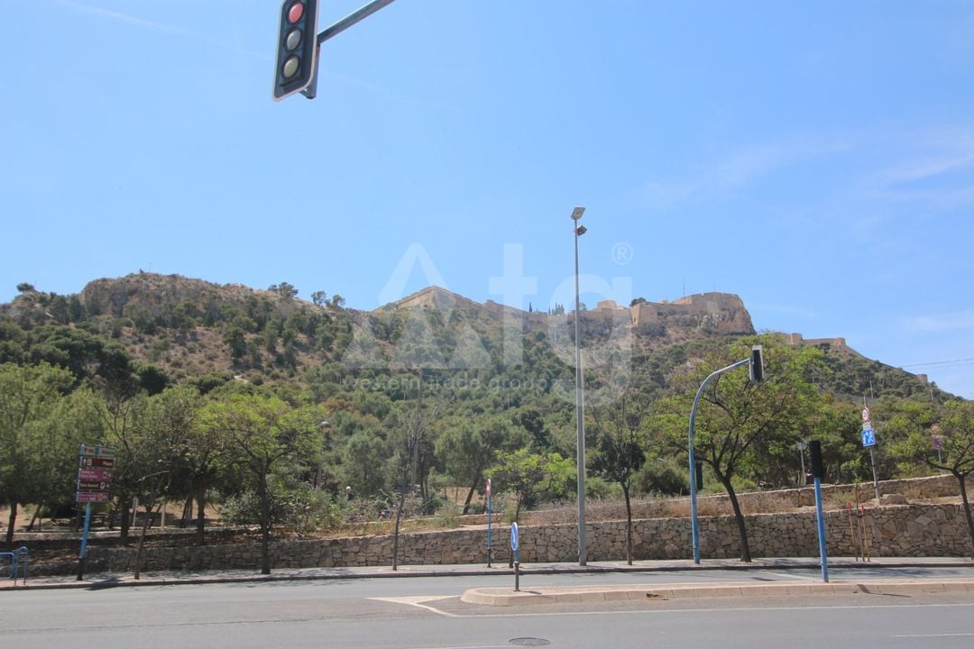 Apartman Alicante, 24 hálószoba - AG150850 - Fénykép - 14