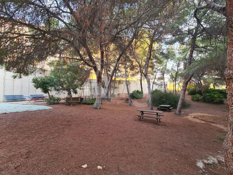 3 bedroom Apartment in Orihuela Costa - AG150902 - Photo - 32