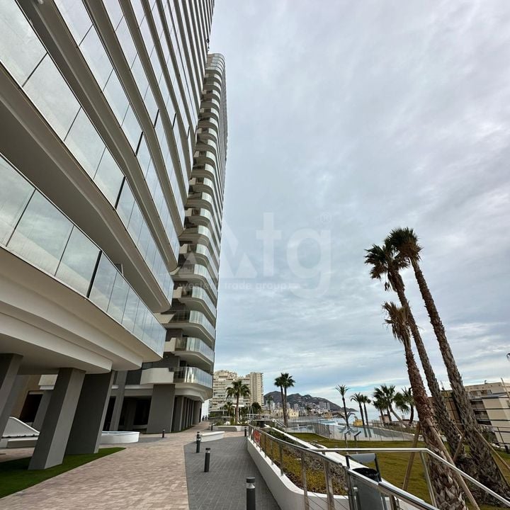 3 bedroom Penthouse in Benidorm - AG151011 - Photo - 16
