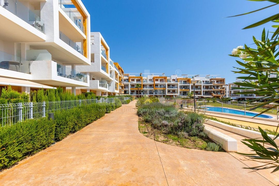 3 bedroom Apartment in Villamartin - AG151045 - Photo - 29