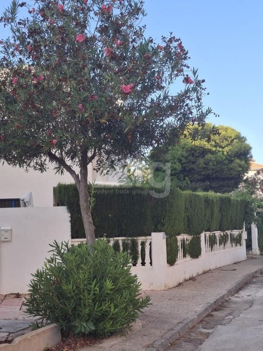 3 Schlafzimmer Penthouse-Wohnung in La Zenia - AG151068 - Foto - 25