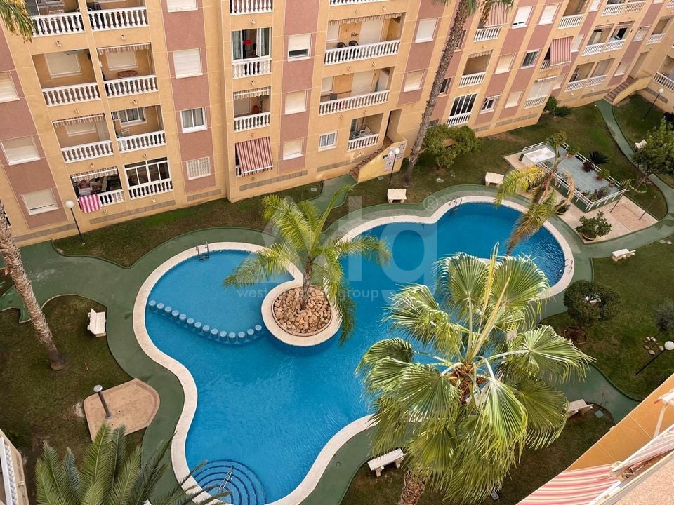 2 bedroom Apartment in Torrevieja - AG151431 - Photo - 1