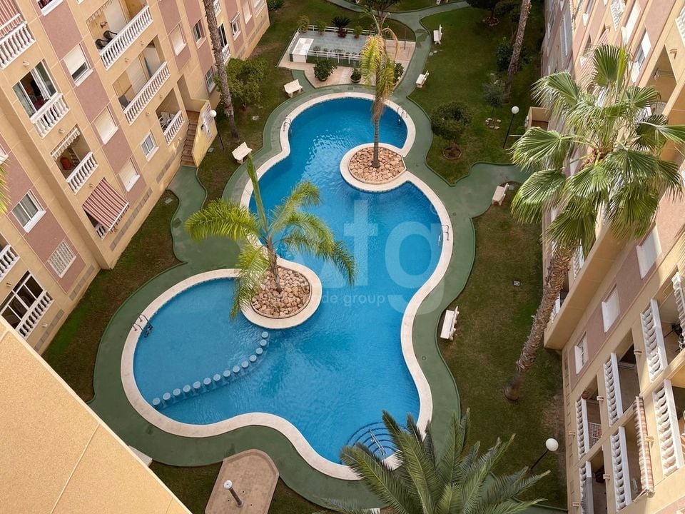 2 bedroom Apartment in Torrevieja - AG151431 - Photo - 2