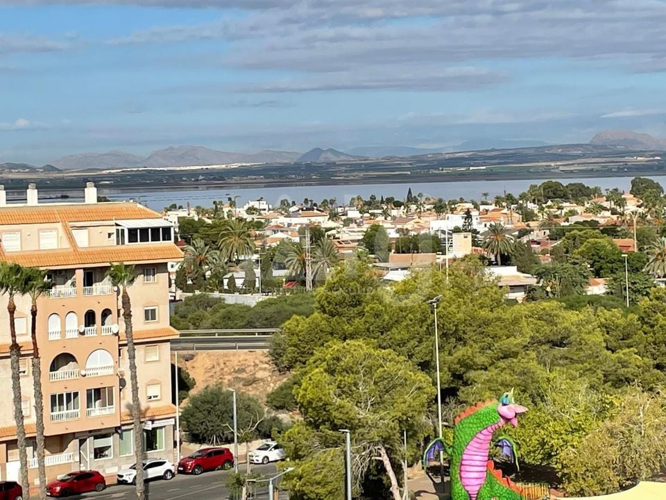 2 bedroom Apartment in Torrevieja - AG151431 - Photo - 26