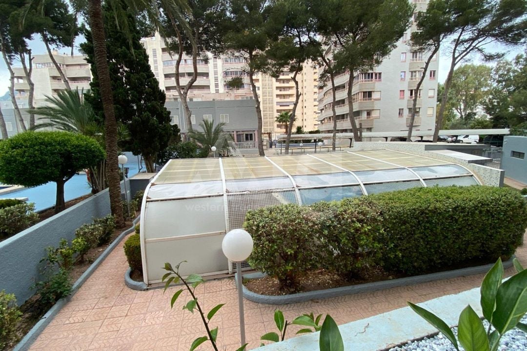 Appartement de 2 chambres à Calp - AG151512 - Photo - 15