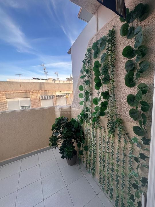Penthouse in Torrevieja, 1 slaapkamer  - AG151593 - Foto - 21