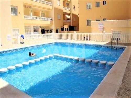 Appartement de 1 chambre à Torrevieja - AG151655 - Photo - 11