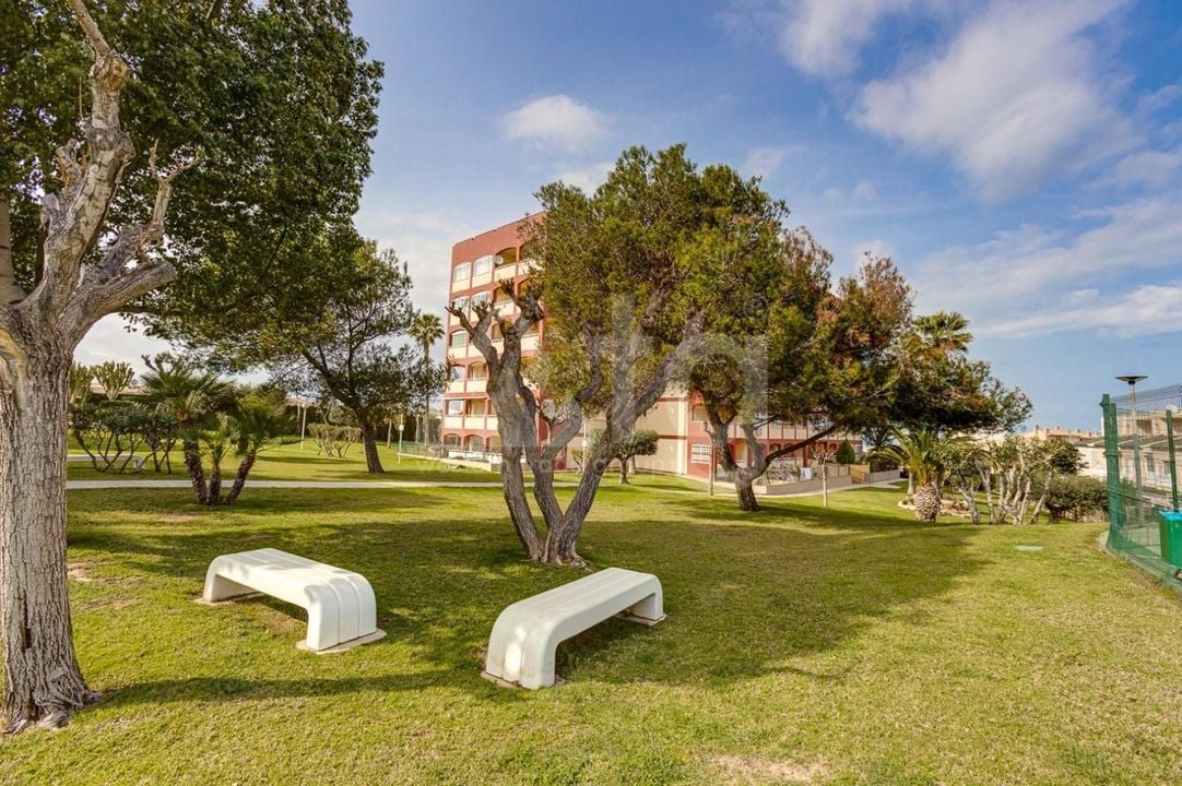 Appartement de 2 chambres à Torrevieja - AG151695 - Photo - 3