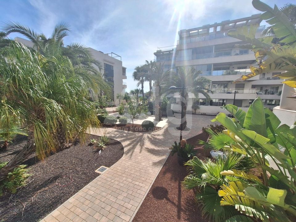 2 bedroom Apartment in Orihuela Costa - AG151699 - Photo - 31