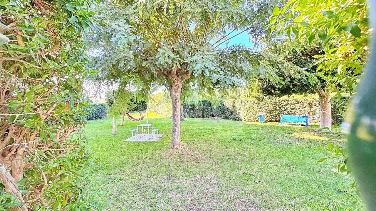 Appartement de 1 chambre à La Mata - AG151729 - Photo - 22