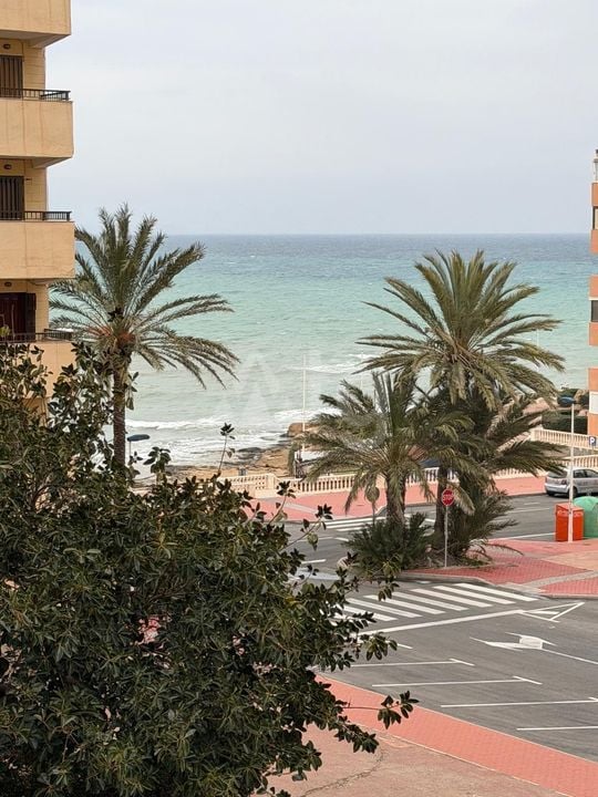 Appartement de 1 chambre à Torrevieja - AG151738 - Photo - 16