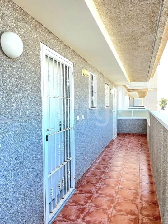 2 bedroom Apartment in Torrevieja - AG151818 - Photo - 13